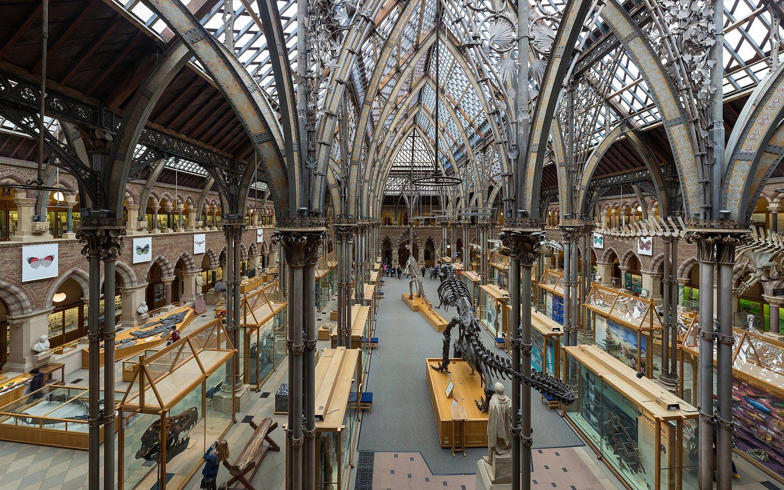 densely packed museum display cases